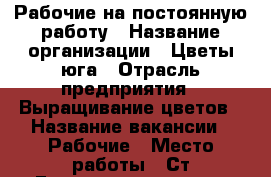 Рабочие на постоянную работу › Название организации ­ Цветы юга › Отрасль предприятия ­ Выращивание цветов › Название вакансии ­ Рабочие › Место работы ­ Ст.Елизаветинская, ул.Степная 307 › Возраст от ­ 19 › Возраст до ­ 45 - Краснодарский край Работа » Вакансии   